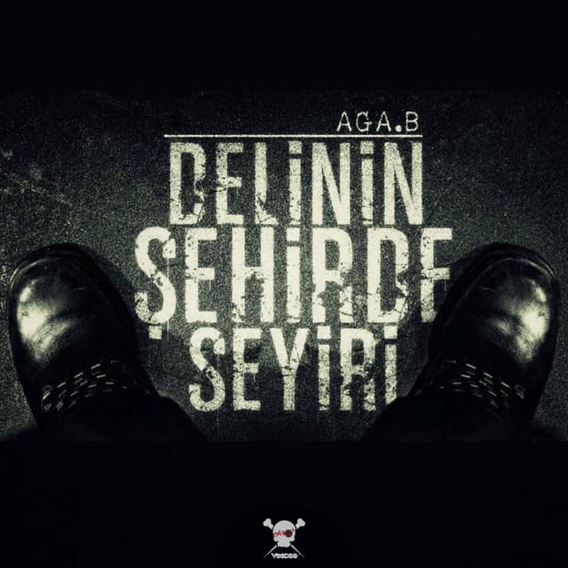 Delinin Sehirde Seyiri cover