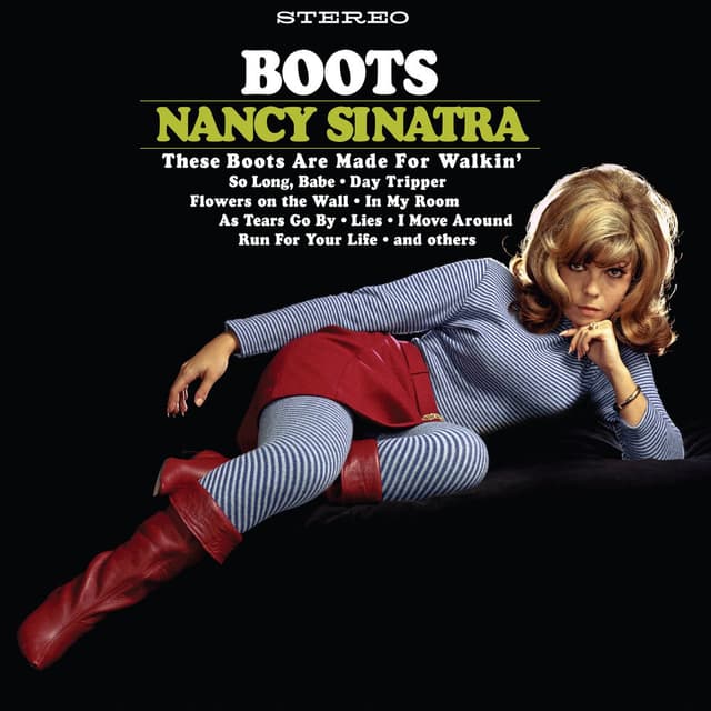 Boots cover