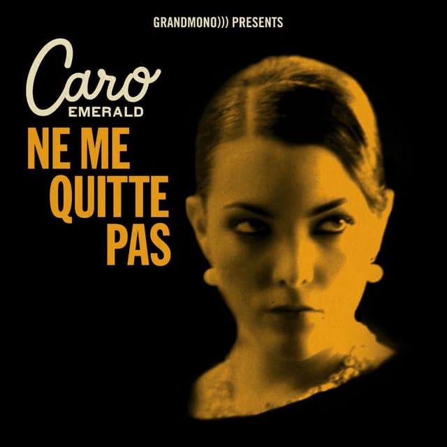 Ne Me Quitte Pas cover