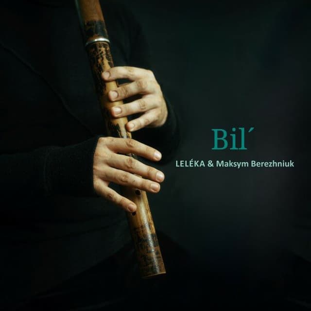 Bil' cover