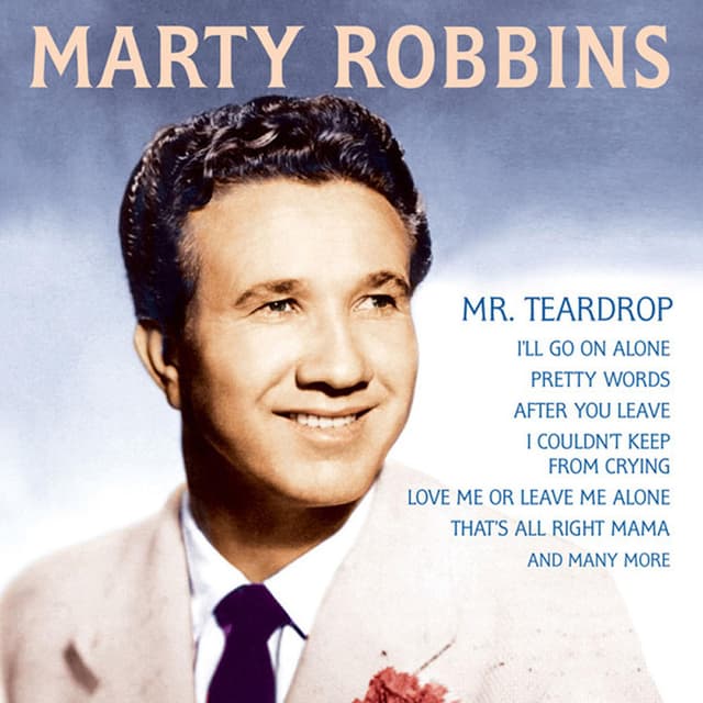 Mr Teardrop cover