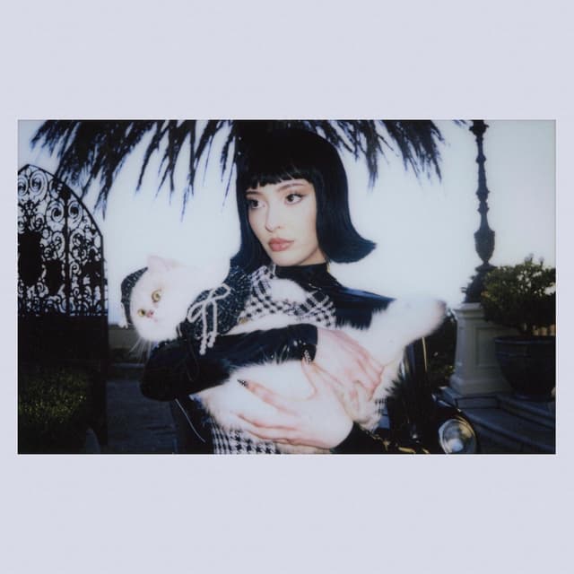 PEACE & VIOLENCE cover