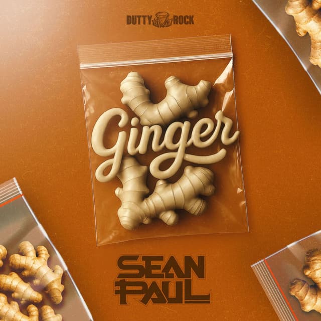 Ginger cover