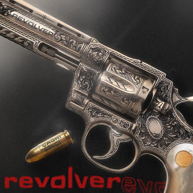 Revolver cover