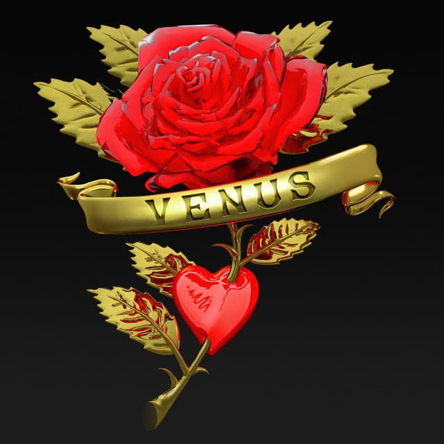 Venus (Boys Noize Rework) cover