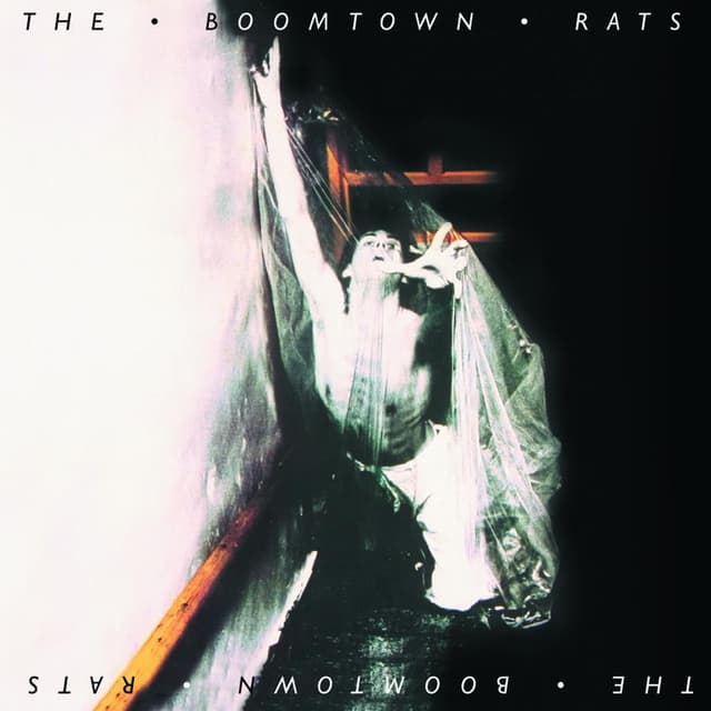 The Boomtown Rats cover