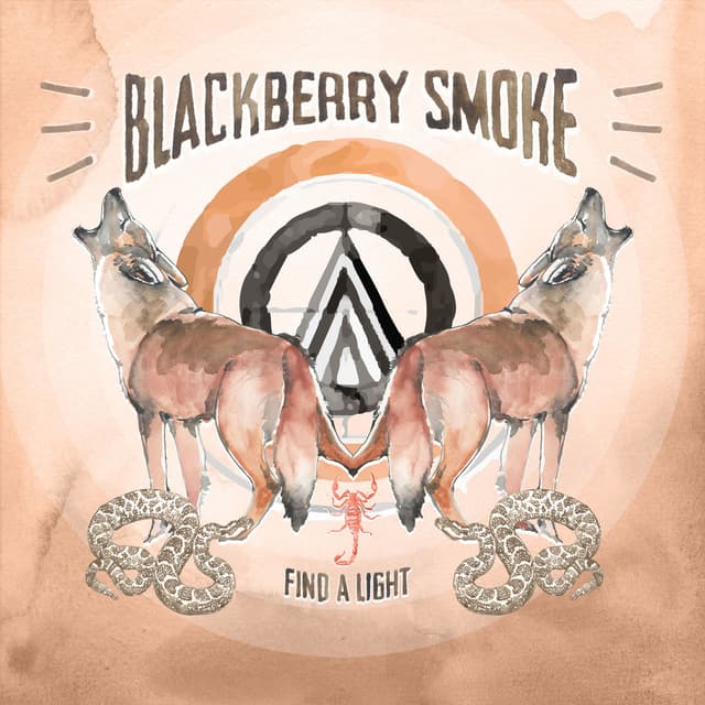 Find a Light album cover