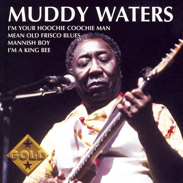 Muddy Waters cover