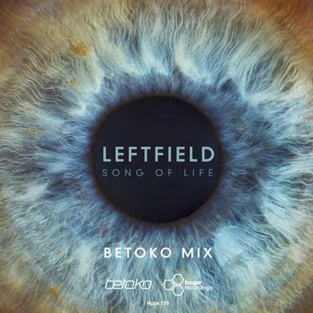 Song of Life (Betoko Remix) cover