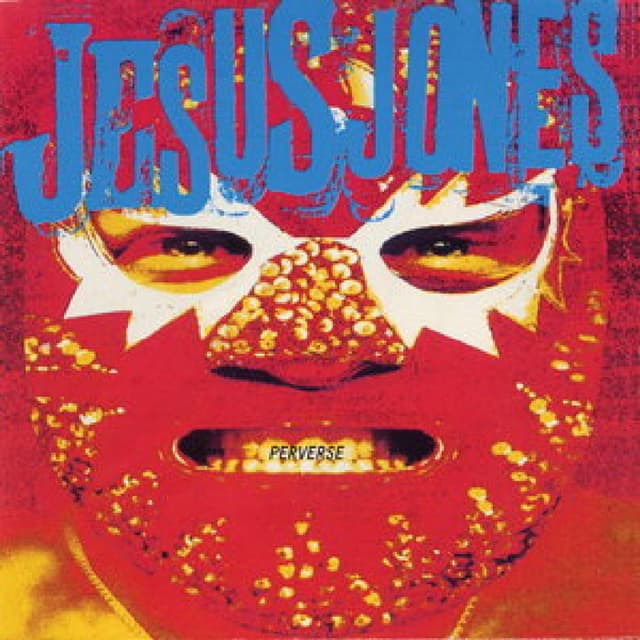 Perverse cover