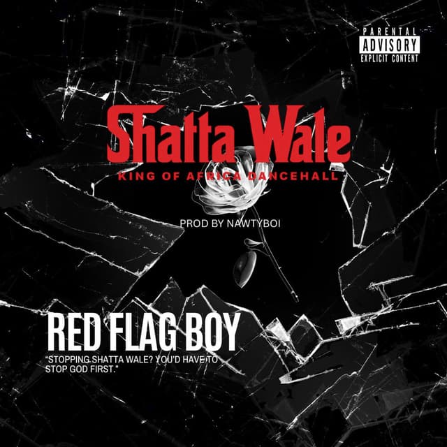 Red Flag Boy cover