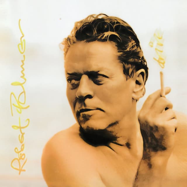 Drive cover