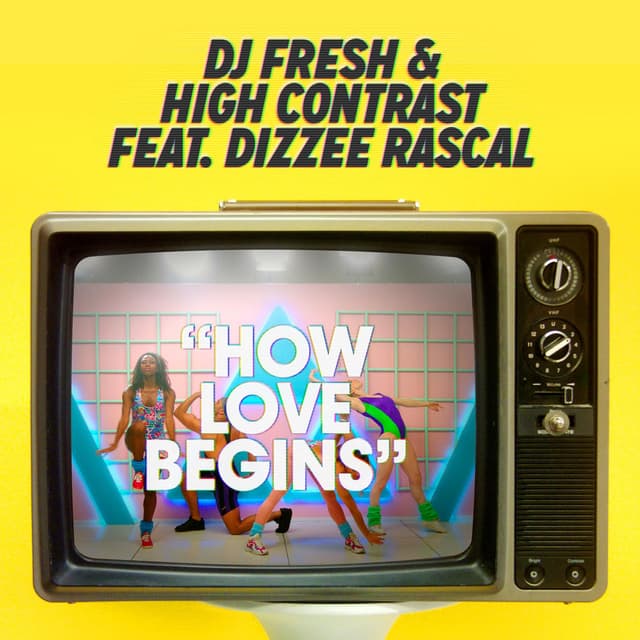 How Love Begins (feat. Dizzee Rascal) (Hardcore Will Never Die Edit) cover