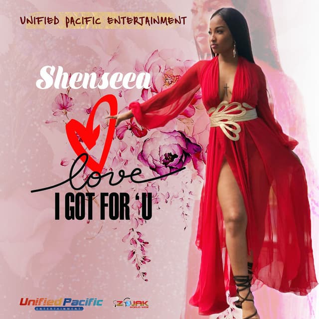 Love I Got For U cover
