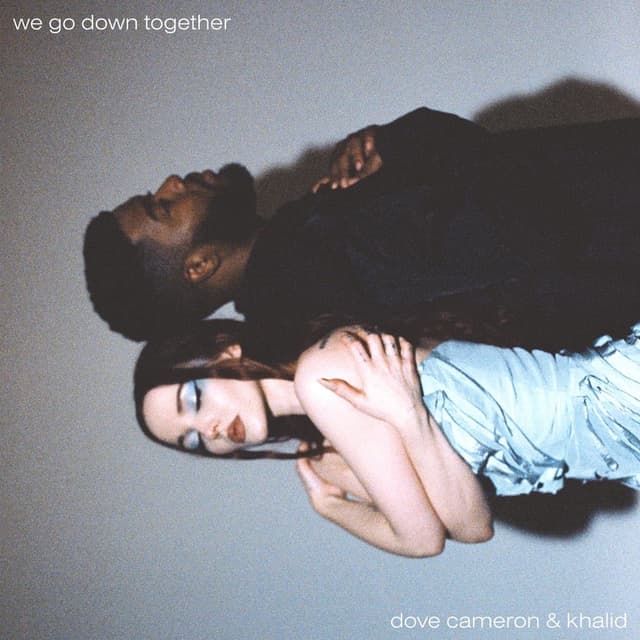 We Go Down Together cover