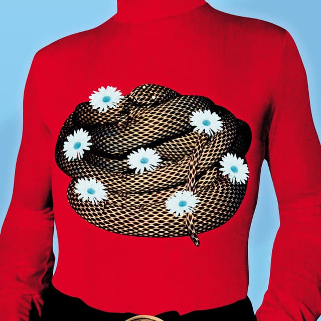 Black Flamingo cover
