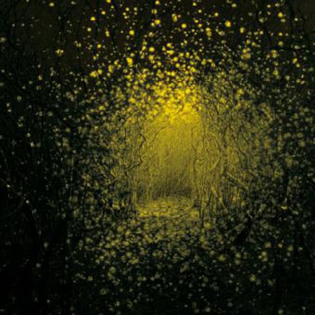 Burst Apart album cover
