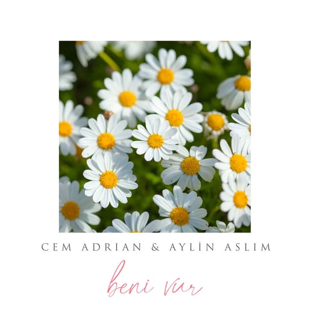 Beni Vur album cover