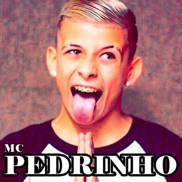 Mc Pedrinho cover