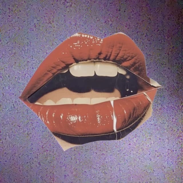 Lip 2 Lip cover