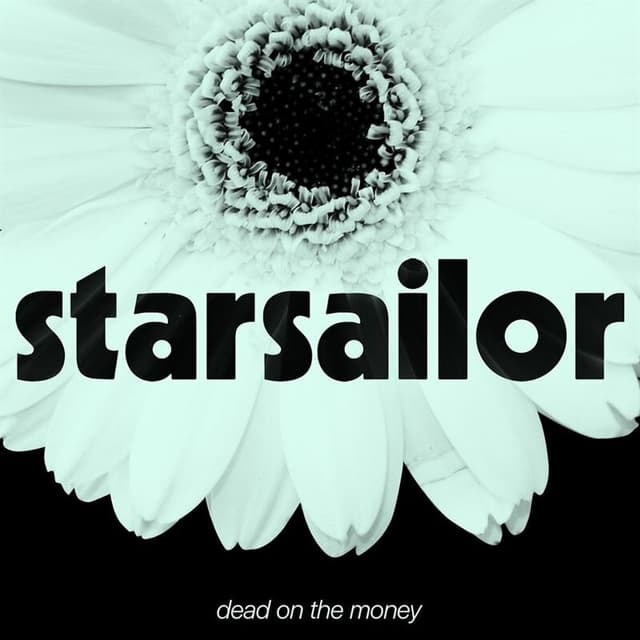Dead On The Money cover