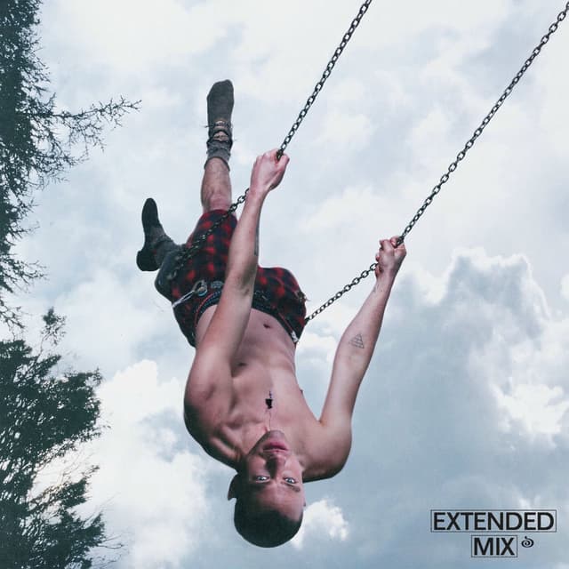 Dizzy (Extended Mix) cover