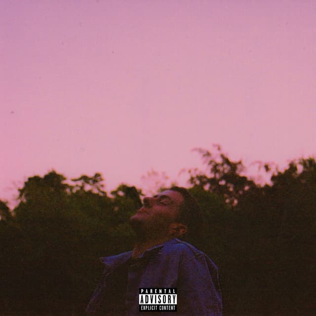 Late to the Party cover