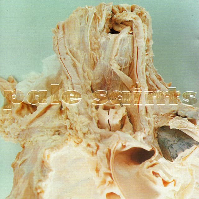 In Ribbons album cover