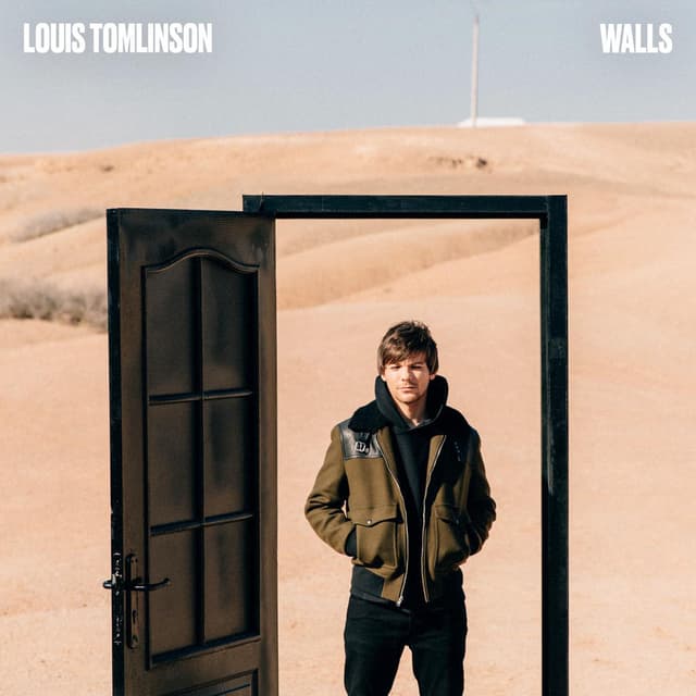 Walls cover