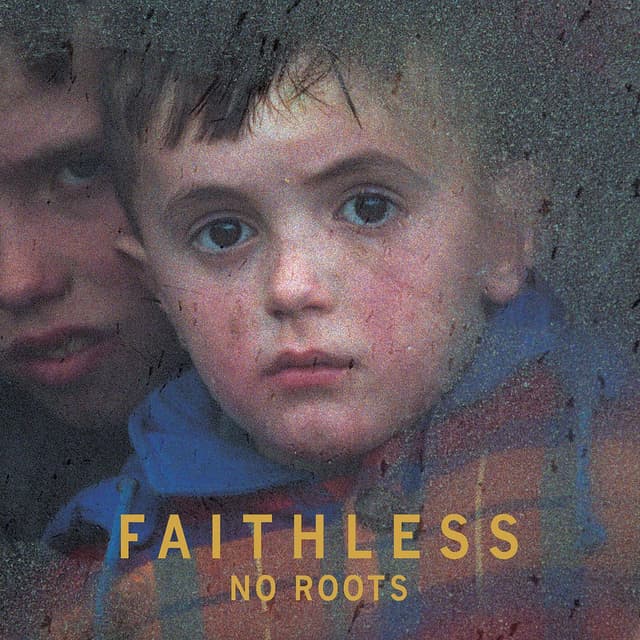 No Roots cover