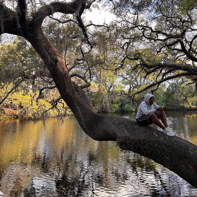 bayou cover