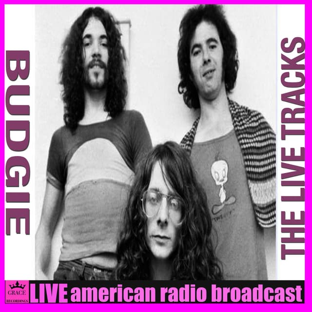 The Live Tracks (Live) cover