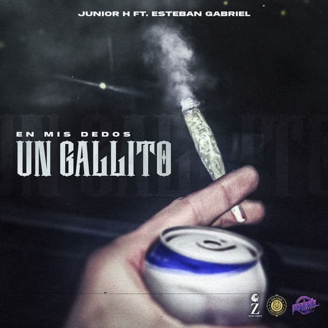 En Mis Dedos un Gallito cover