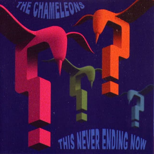 This Never Ending Now cover