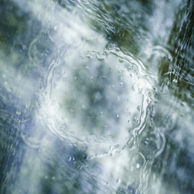 Sızı cover