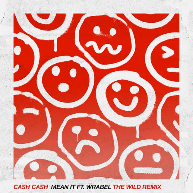 Mean It (feat. Wrabel) (The Wild Remix) cover