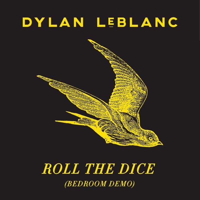 Roll The Dice (Bedroom Demo) cover