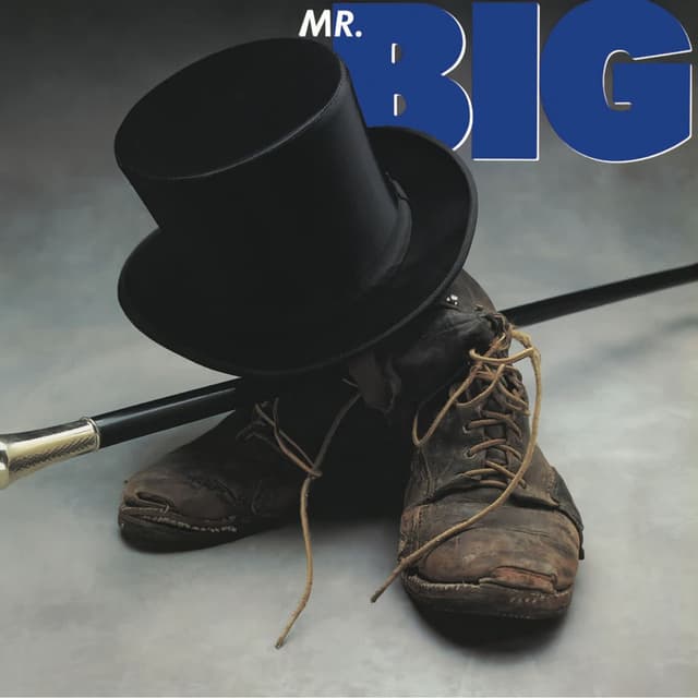 Mr. Big cover