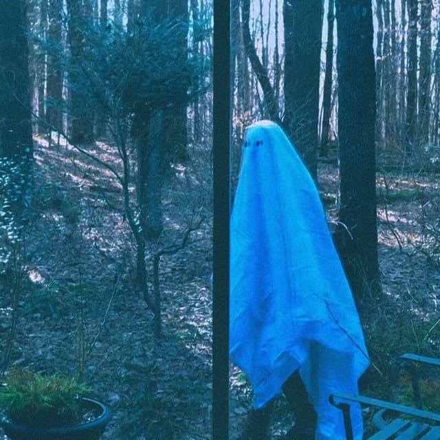 alive cover