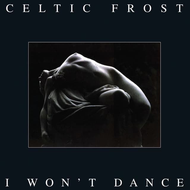 I Won't Dance album cover