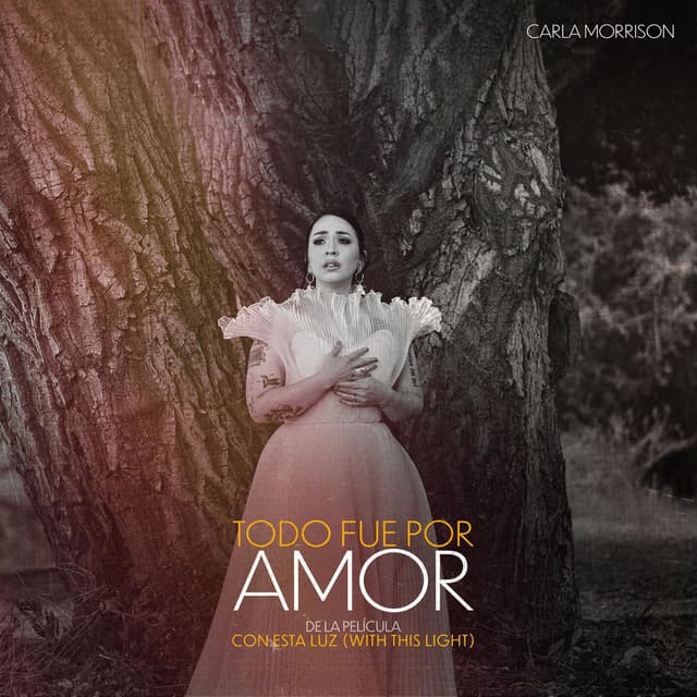 Todo Fue Por Amor cover