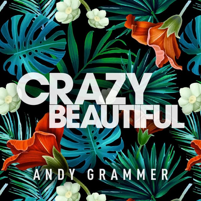Crazy Beautiful EP cover