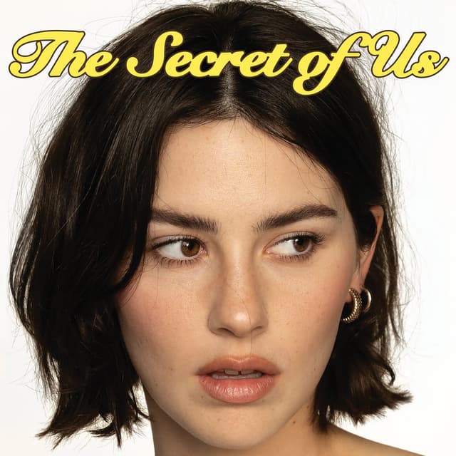 The Secret of Us album cover