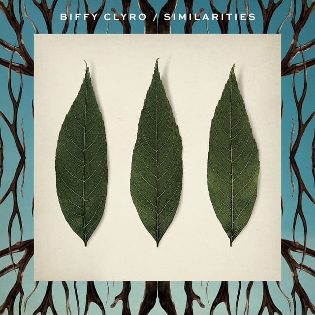 Similarities cover