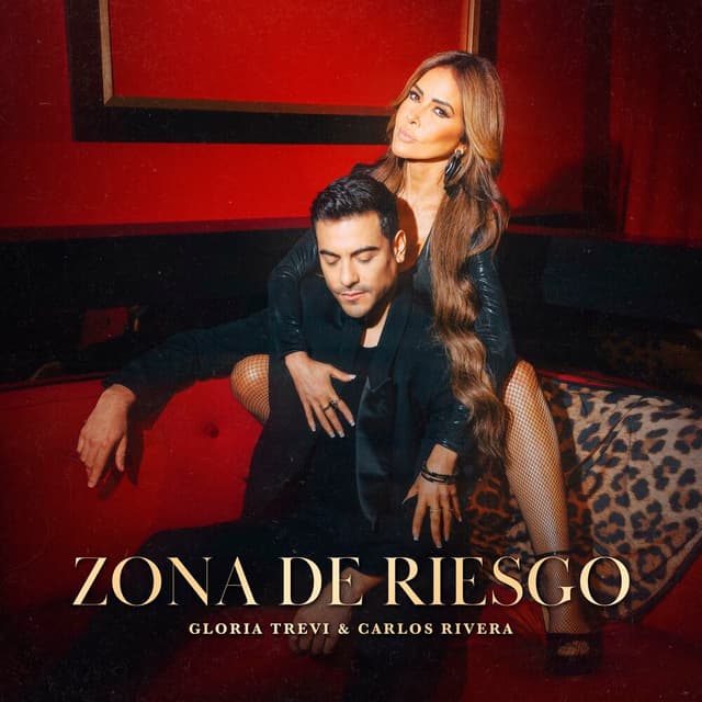 Zona De Riesgo cover