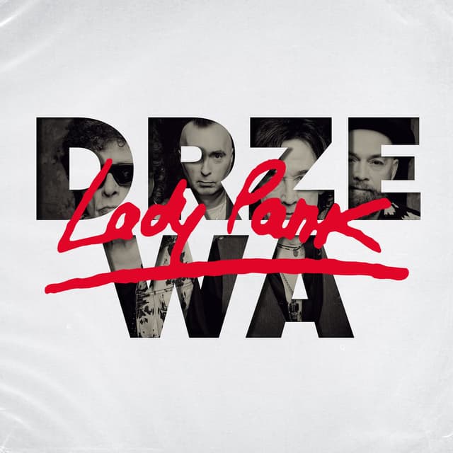 Drzewa cover