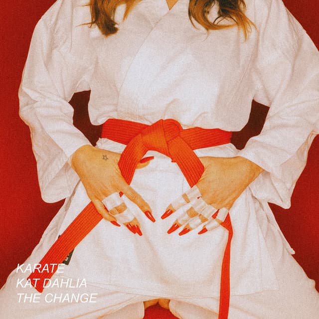 Karate cover