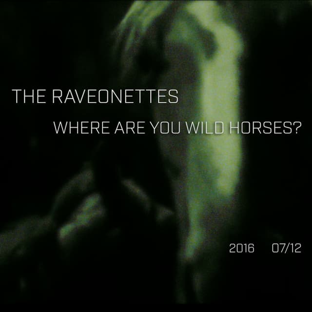 Where Are You Wild Horses cover