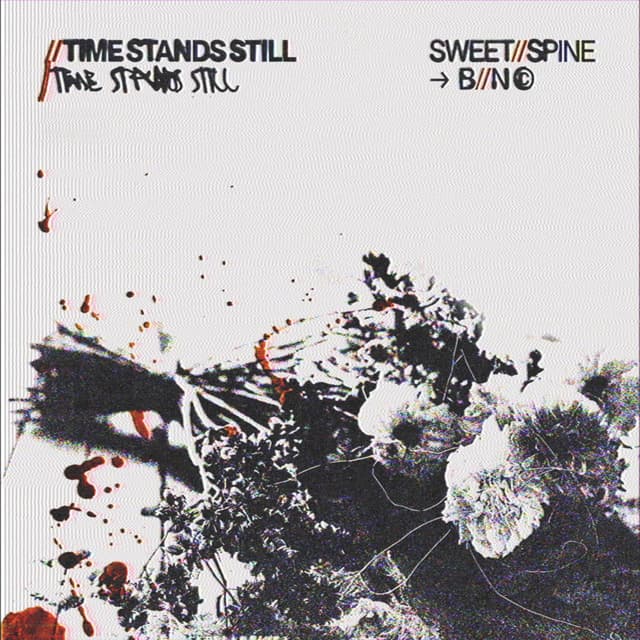 time stands still cover