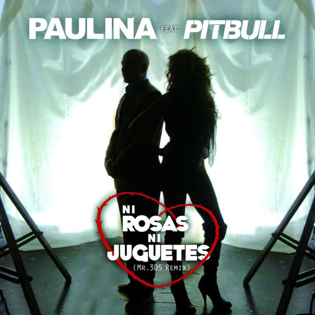 Ni Rosas, Ni Juguetes (Mr 305 Remix - Extended Version) cover